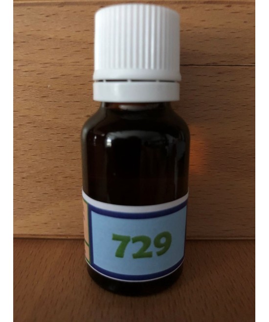 729 Capillary network support.