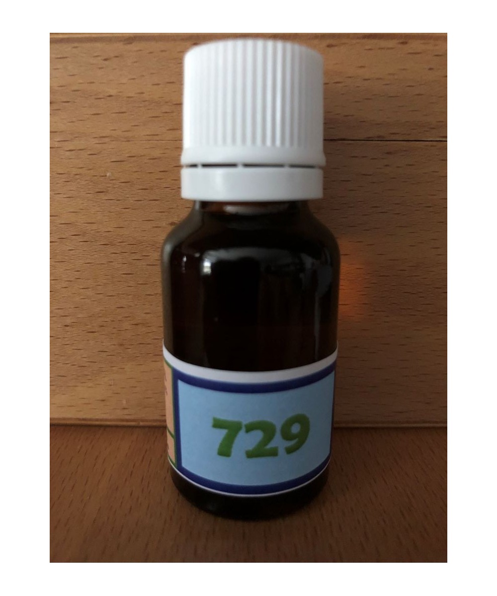 729 Capillary network support.