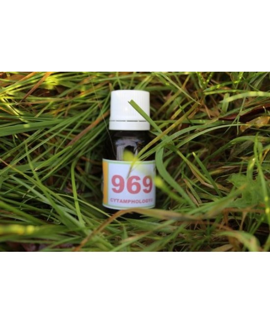 969 Equine metabolic syndrome.