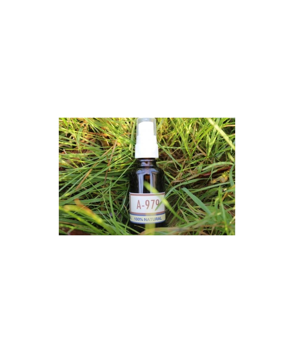 A-979 Deep rotten fork for horses (spray).