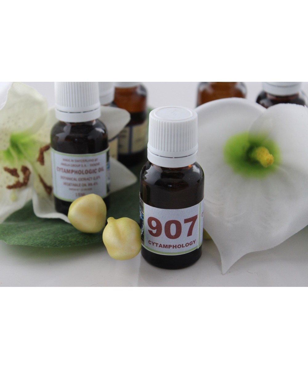 907 external parasites for cats, dogs, horses ... (Achats, chips ...).