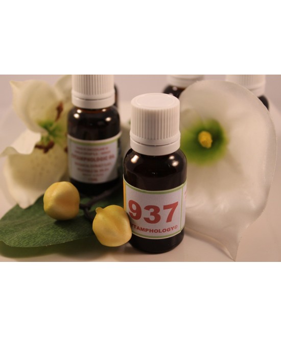 937 Equilibrium of pancreatic function for animals.