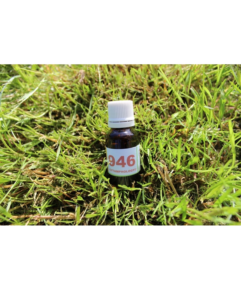 946 Nierenversagen (glomeruläre Filtration) für Tiere.