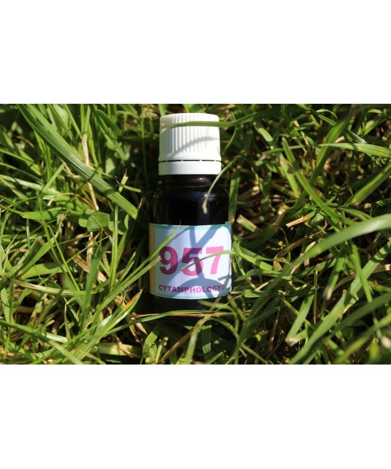957 Rheumatoid arthritis for animals.