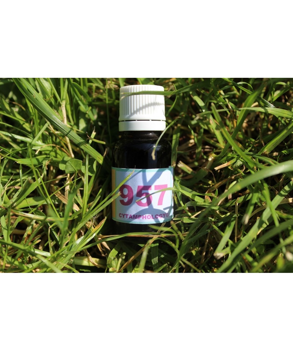 957 Rheumatoid arthritis for animals.