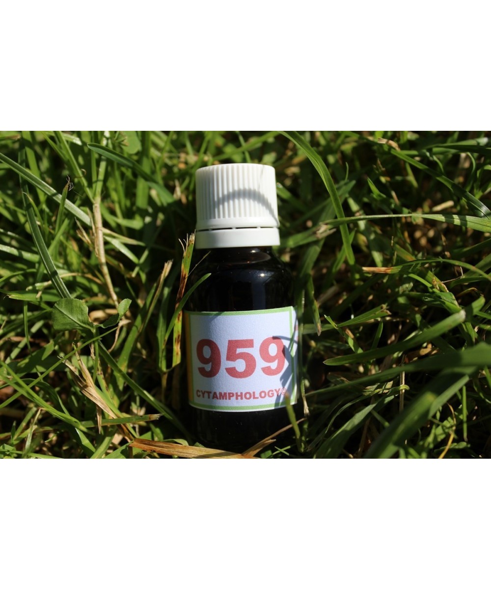 959 Septic arthritis of foal + 957 for horses.