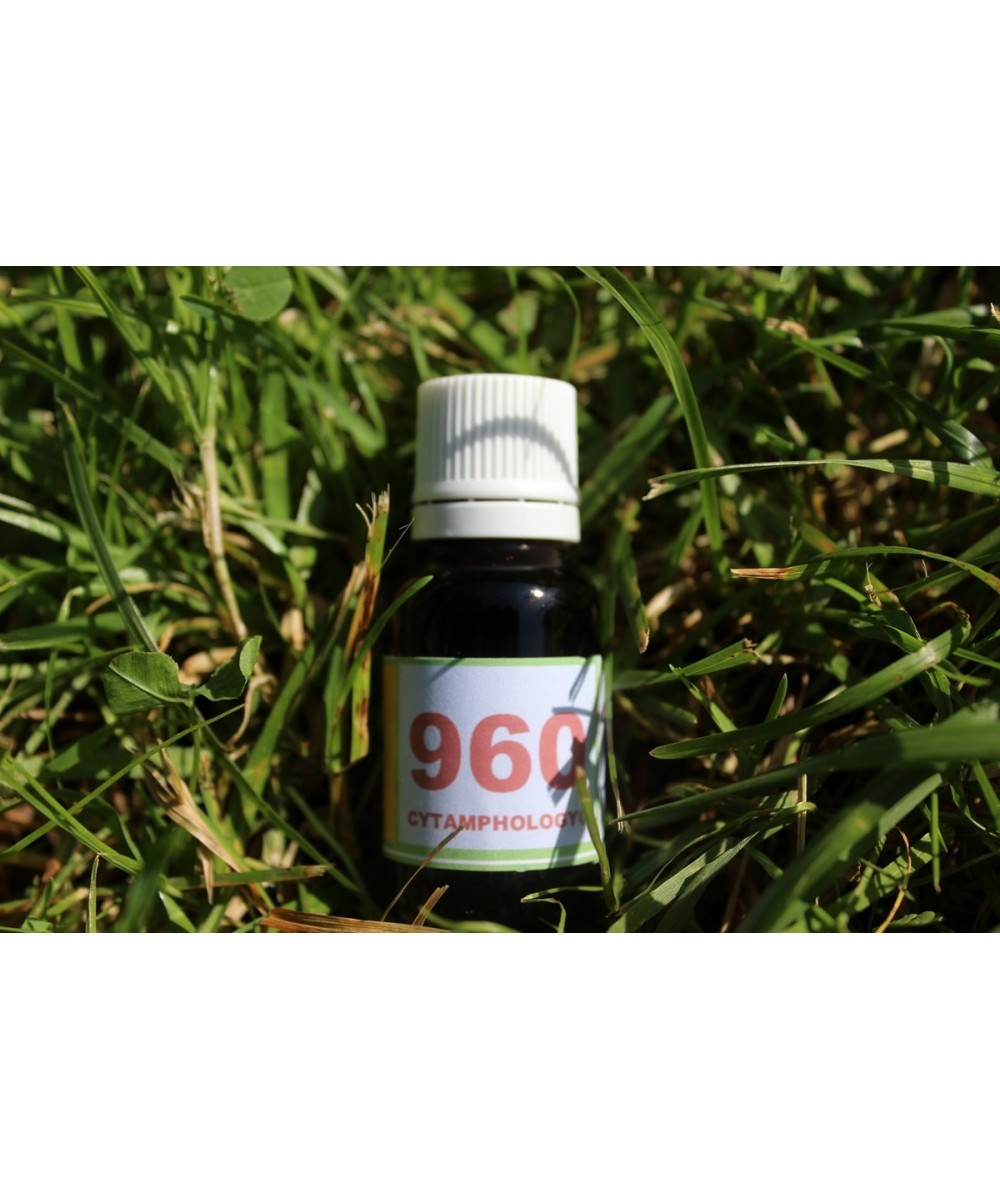 960 inflammation ... its ... for animals.