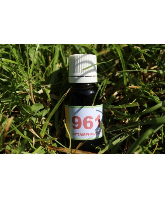 961 Hypersensitivity (anxieties and fears) for animals.
