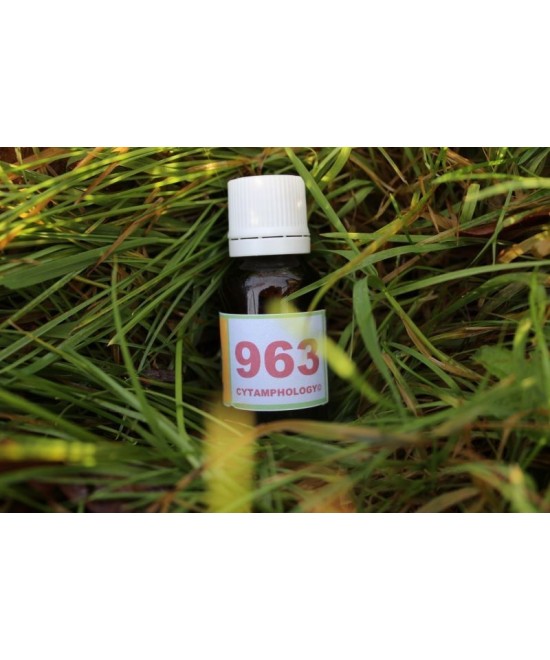963 Breakdown of energies (CNS) for animals.