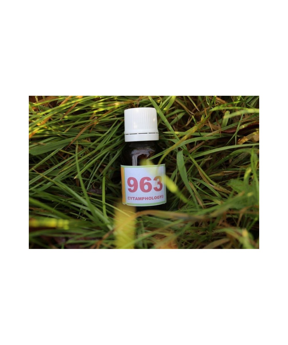 963 Breakdown of energies (CNS) for animals.