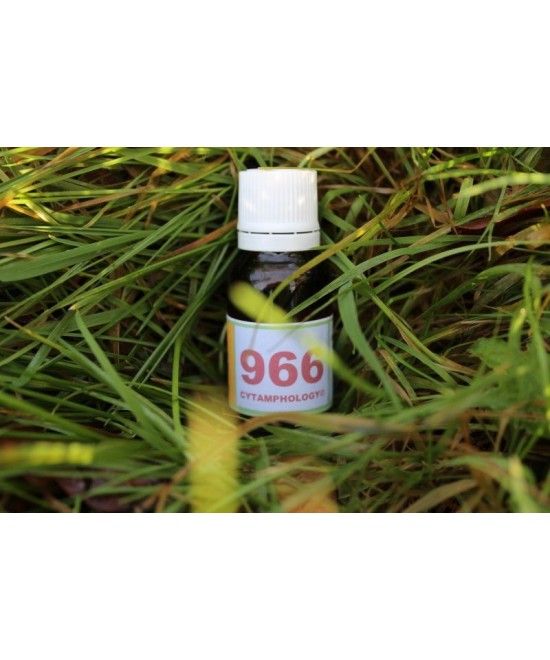 966 Blood pressure for animals.