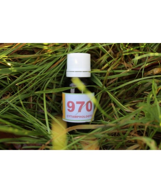 970 Diabetes (1) (stabilizes) for animals.