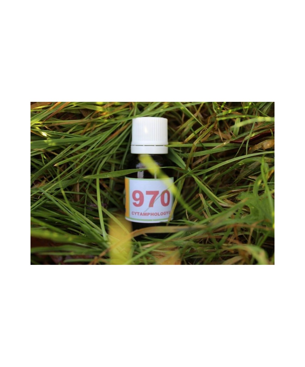 970 Diabetes (1) (stabilizes) for animals.