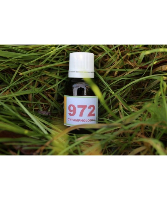 972 Anti-mycosis for animals.
