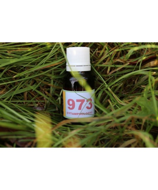973 Tracheo-bronchitis for animals.