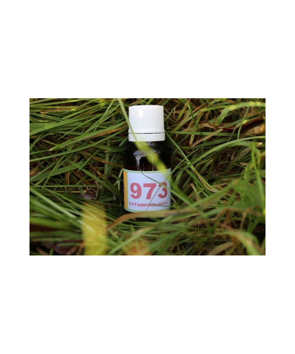 973 Tracheo-bronchitis for animals.