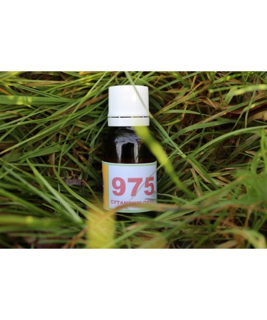975 hypo thyroidism (1) for animals.