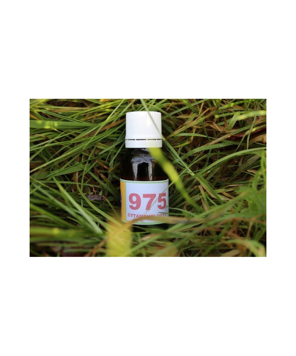 975 hypo thyroidism (1) for animals.