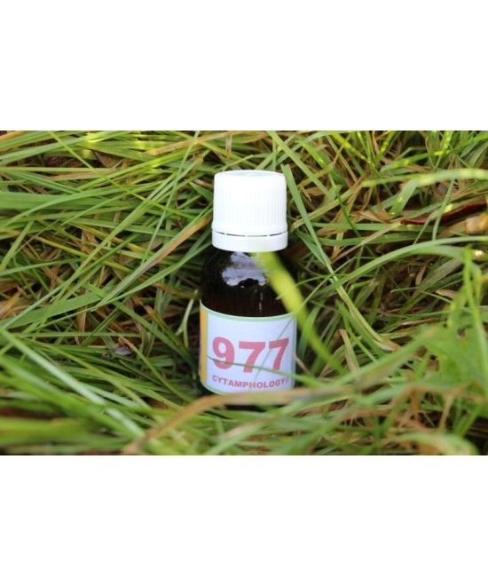 977 Hypo thyroidism (2) - Para-thyroid balance.