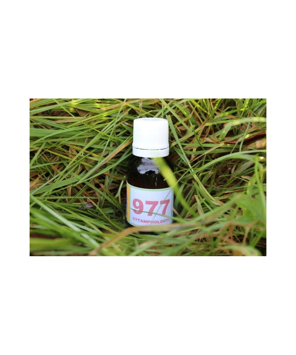 977 Hypo thyroidism (2) - Para-thyroid balance.