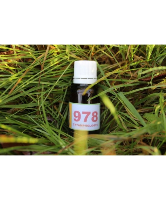 978 Inflammation of mucous membranes for animals.