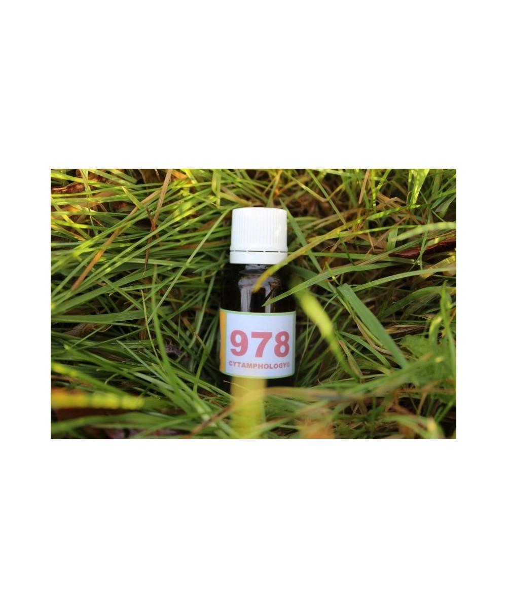978 Inflammation of mucous membranes for animals.