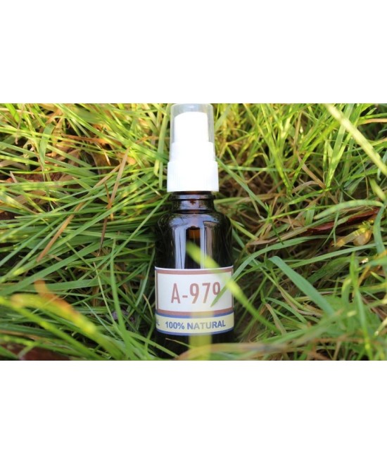 A-979 Deep rot of the fork (spray).