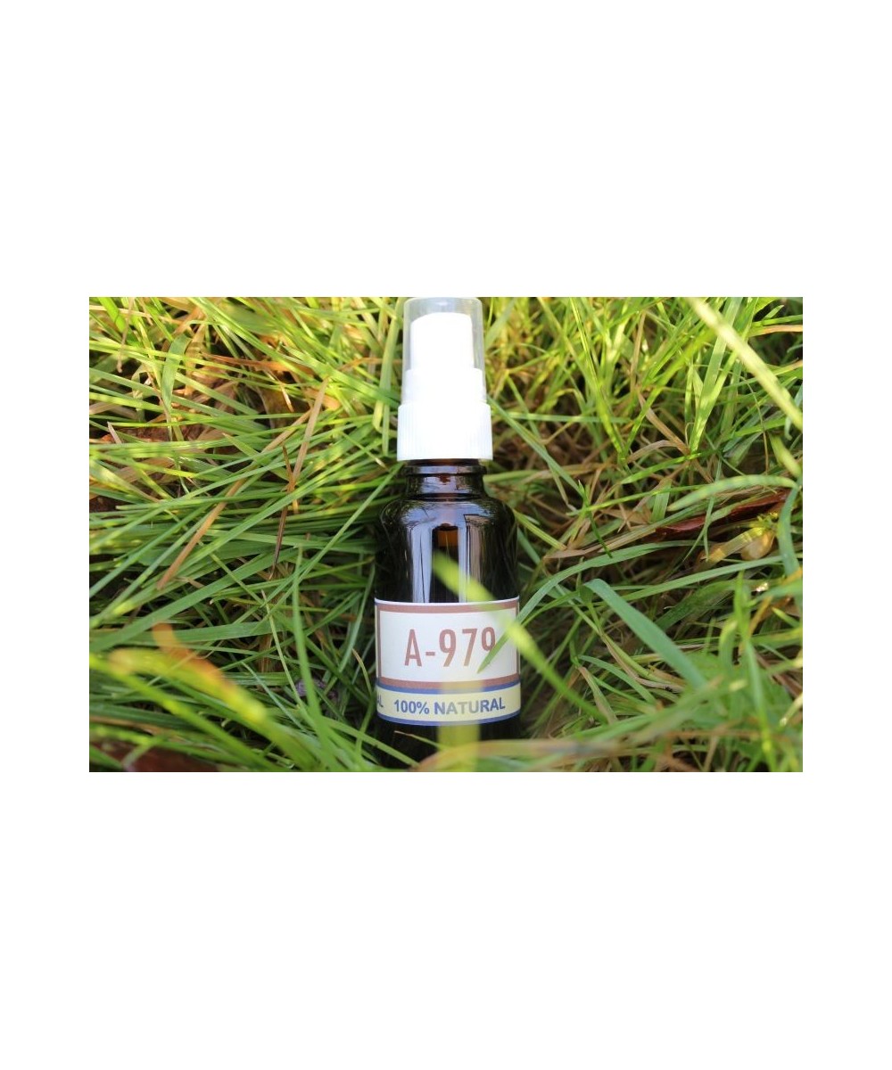 A-979 Tieffäule der Gabel (Spray).