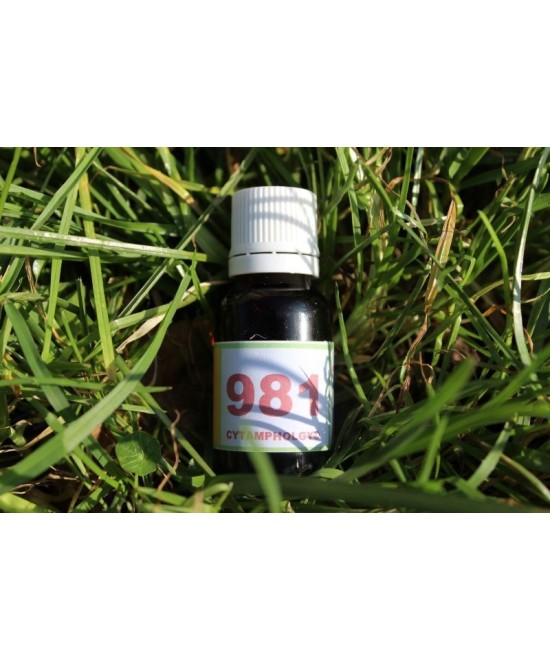 981 regeneration for aged animals.