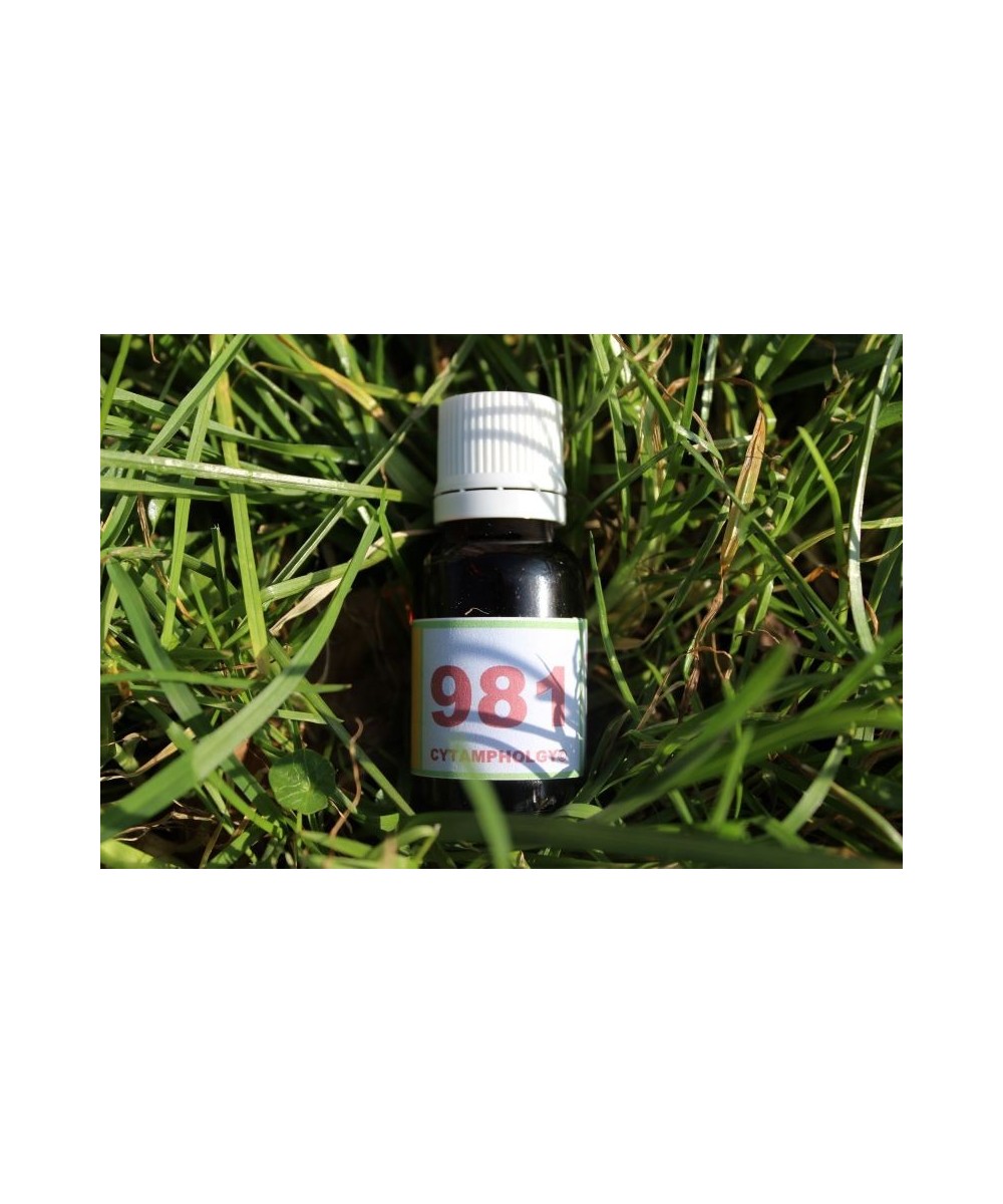 981 regeneration for aged animals.