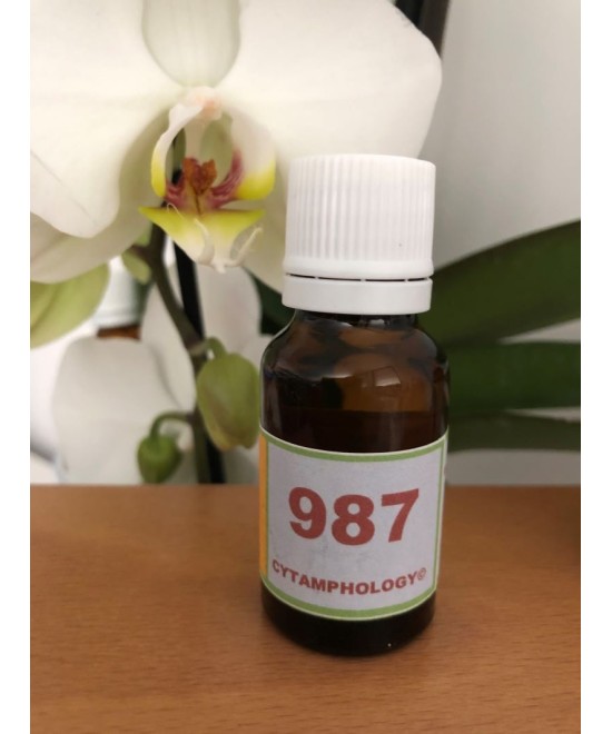 987 Glaucoma (m.dégenerative of the optic nerve for animals.