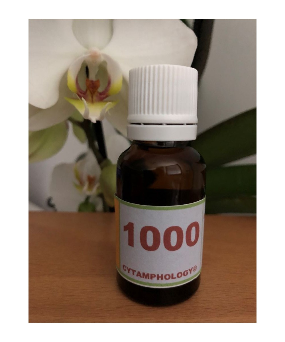 1000 Atopic dermatitis in animals.