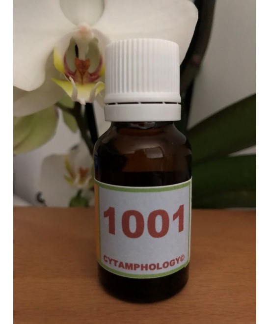 1001 animal alopecia.