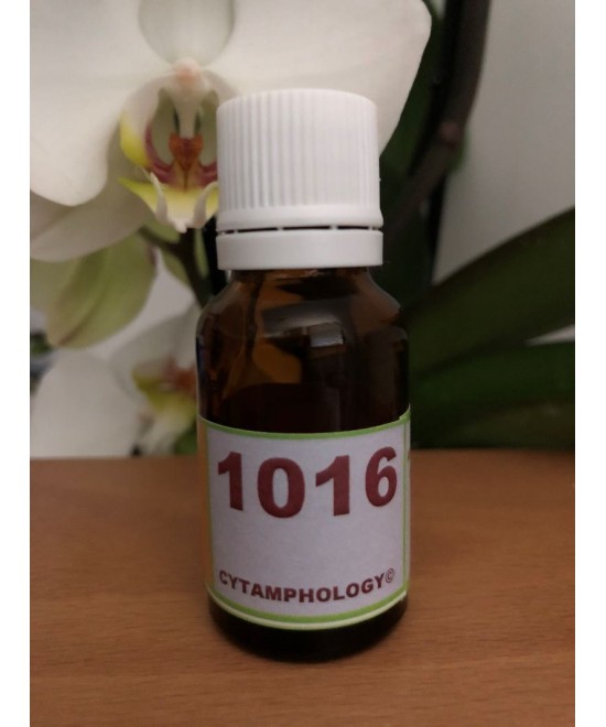 1016 Sarcoidosis equine.