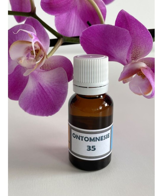 OM 35 ANGISIS: Insecurity (safety search following physical or verbal aggression).
