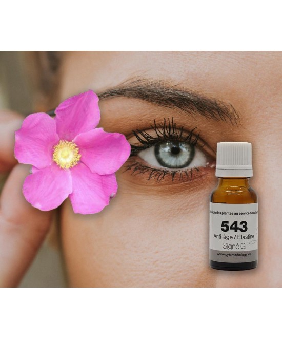 SG 543 Flexibility rejuvenation of the dermis with the musky rose of Chile.