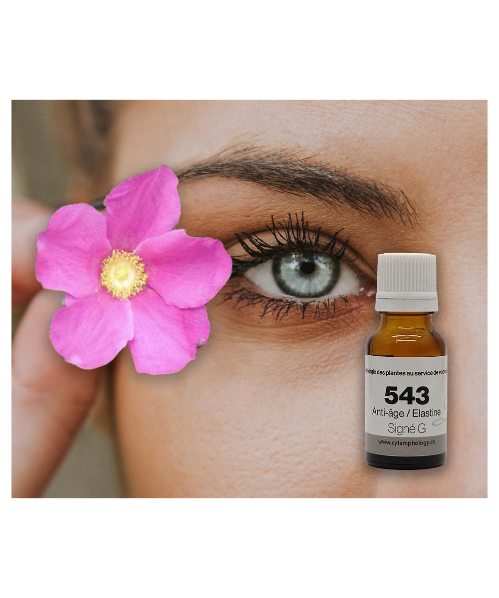 SG 543 Flexibility rejuvenation of the dermis with the musky rose of Chile.