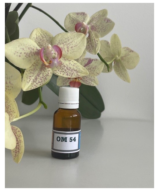 OM 54 feminin sacred - allows the woman to reconnect to ...