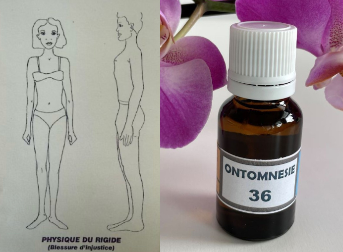 Image 3 - Les 5 blessures qui empêchent  d’être soi-même - Active Nature_1.jpg